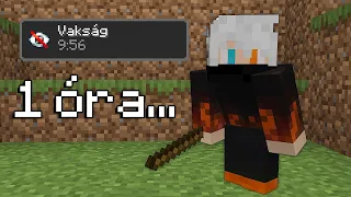 Minecraft, de Öregszel az idővel...