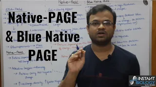 Native PAGE and Blue Native Page
