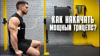 Как накачать мощный трицепс?