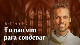 "Eu não vim para condenar" | Jo 12, 44-50 - Homilia Diária (11/05/22)