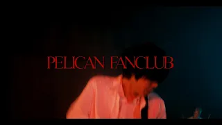 PELICAN FANCLUB『Primary Colors』Music Video
