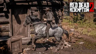 Can't believe i took 4000+ hours for getting this rare Horse 😱