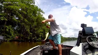 Garmin Livescope: Awesome Footage Of A Bass Eating A Crankbait With GoPro Of The Catch Also!!!