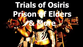 Destiny House of Wolves - Prison of Elders, Trials of Osiris, and Upgrade Paths