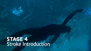 YMCA | Swim Lessons: Stage 4 | Gamut One Studios