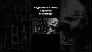 Вонючая лохматая тварь