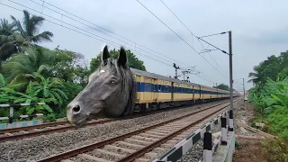 Furious Angry Horse Headed Memu Trains Dangerously Moving Throughout Railgate