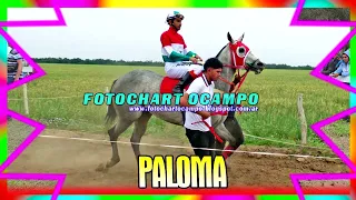PALOMA - General Pinedo - Chaco 24/09/2023