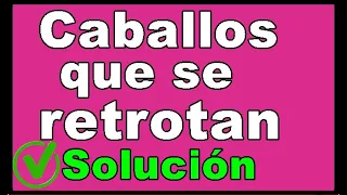 Soluciones y ejercicios infalibles para el retrote del caballo. Como quitar el retrote al caballo