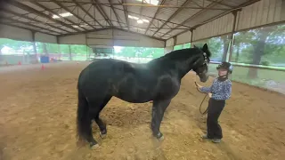 Class 21 PW Showmanship 4/23/24