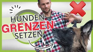 So versteht dein Hund dich wirklich [Hunden GRENZEN setzen]