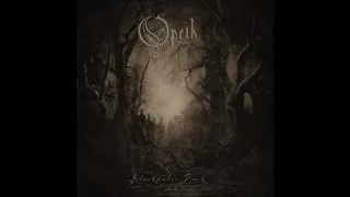 Opeth - The Leper Affinity D tuning