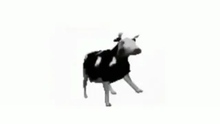 Польская корова флексит под польский унитаз