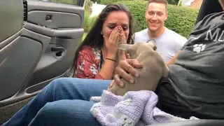 Surprising My Girlfriend With a PUPPY!