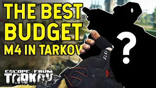 Why Does Everyone Hate This Gun In Tarkov? - Cheap Chad Destroyers