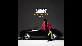 Shaggy - Use Me (Official Audio)