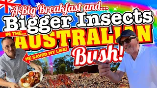 We found a BIG BREAKFAST and EVEN BIGGER INSECTS in the AUSTRALIAN BUSH that ATTACKED ME down under!