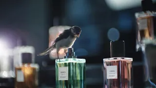 De Bijenkorf televisie commercial (2018) | de Bijenkorf