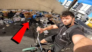 I went riding BMX through LA's dirtiest back alleys & saw this..