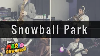 Snowball Park - Super Mario 3D World [Cover Arrange]