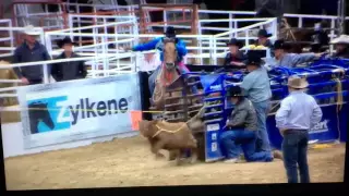 CODY OHL X FRED WHITFIELD - 2016 GOLD BUCKLE MATCH TIE DOWN ROPING