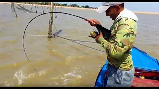 Fishing from the boat and beach at braamspunt for Catfish and Longnose Stingray