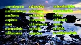 เพลงโฟล์คซอง 2