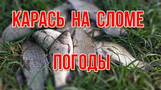 Карась на сломе погоды. Рыбалка перед ненастьем.