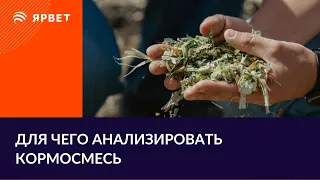 АНАЛИЗ TMR / ИЩЕМ ПРОБЛЕМЫ С ПОМОЩЬЮ АНАЛИЗА