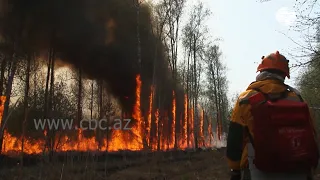 Лесные пожары в Якутии