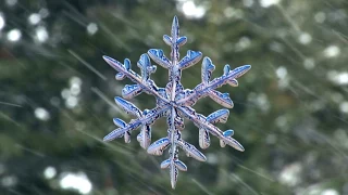 Capturing the Beauty of Snowflakes | High-Speed Camera Reveals Secrets of Ice Crystals