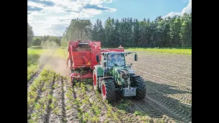 Kartoffeln Roden Knesebeck 08/2023 Fendt 724 + Grimme EVO 290 - Heinrichs Ohrdorf - Drohnenaufnahme