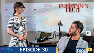 Forbidden Fruit Episode 30 | FULL EPISODE | TAGALOG DUB | Turkish Drama