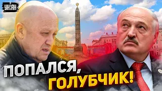 Пригожин удрал из Минска! Лукашенко слил местонахождение повара Путина