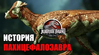 ИСТОРИЯ ПАХИЦЕФАЛОЗАВРА ИЗ ФРАНШИЗЫ ПАРКА/МИРА ЮРСКОГО ПЕРИОДА