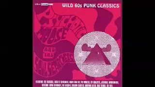 Various ‎– Psychotic Moose And The Soul Searchers : Wild 60s Garage Punk Classics Music Compilation