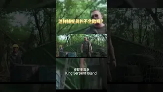 这样捕蛇真的不危险吗？《#蛇王岛》/ King Serpent Island【Shorts】 | 欢迎订阅-#爱奇艺大电影频道 #iQIYIMOVIETHEATER