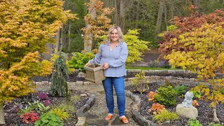 Spring Garden Tour: Japanese Maple Collection & DIY Japanese-Inspired Garden