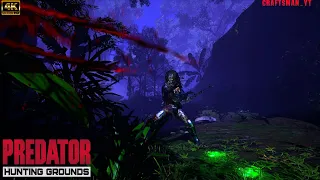 🔴Stream! Patch 2.50 Predator Hunting Grounds | Let's kill predators 25.04.2024 High Graphics set