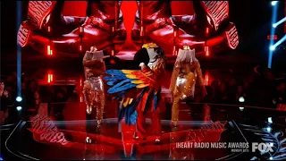 Masked Singer - Macaw Battle Royale - That Don't Impress Me Much
