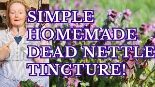 Let's make a super easy Dead Nettle Tincture!