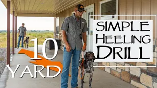 Teach Your Dog To Heel With This Simple Daily Drill