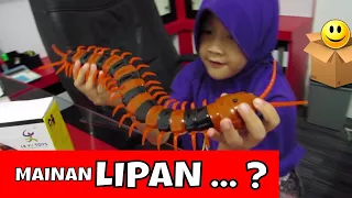 Children's Toys - Innovation scorpion vs giant Scolopendra Lifelike Crawl