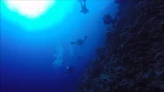 Mar Rojo (Egipto) - Maksour - Pared - (03-12-2014) - Bubbles Sea
