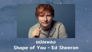 แปลเพลง Shape of You - Ed Sheeran (Thaisub ความหมาย ซับไทย)