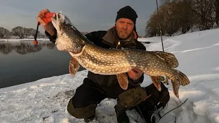 ТРОФЕИ МОСКВА-РЕКИ! ДЖИГ ЗИМОЙ, рыбалка на СПИННИНГ в последний день ЗИМЫ,ЩУКА, СУДАК, ОКУНЬ, КАРАСЬ