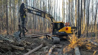 Clearing Trails And Food Plots On This Farm