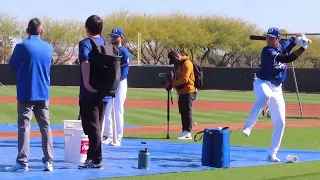 Shohei Ohtani Highlights! Shohei Ohtani Excellent workout hits 13 free shots | Spring Training