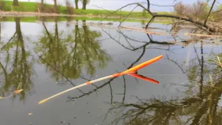 DRAW THE BAG ON THE FLOAT!!! Fishing in the spring for crucian carp