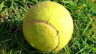 Si tu Vois Une Balle de Tennis au Sol, va Chercher du Secours !